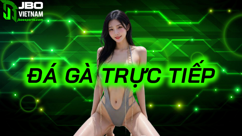 Đá gà trực tiếp | Chơi đá gà trực tiếp chất lượng nhanh JBO