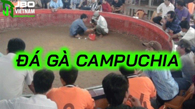 Hướng dẫn các bước tham gia chơi đá gà